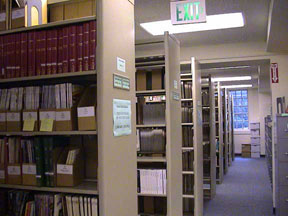 Chicano Studies Collection Shelves